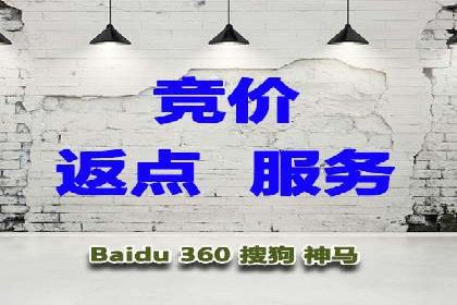 SEM托管代运营案例：打造高效营销体系